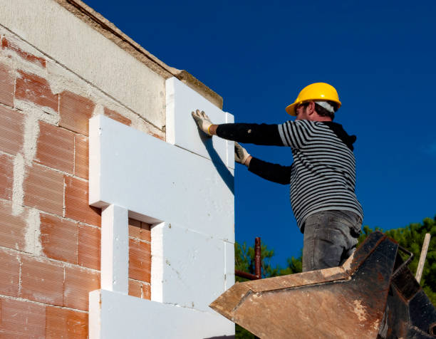 Best Cellulose Insulation  in Cusseta, GA