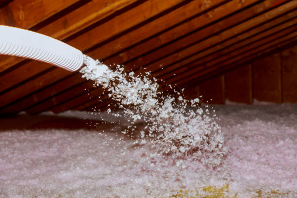 Best Wall Insulation Contractor  in Cusseta, GA