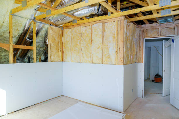 Best Insulation Repair Services  in Cusseta, GA