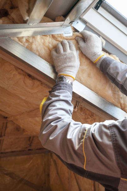 Best Local Insulation Services  in Cusseta, GA
